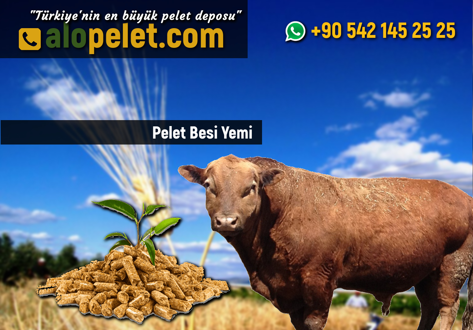 Pelet Besi Yemi