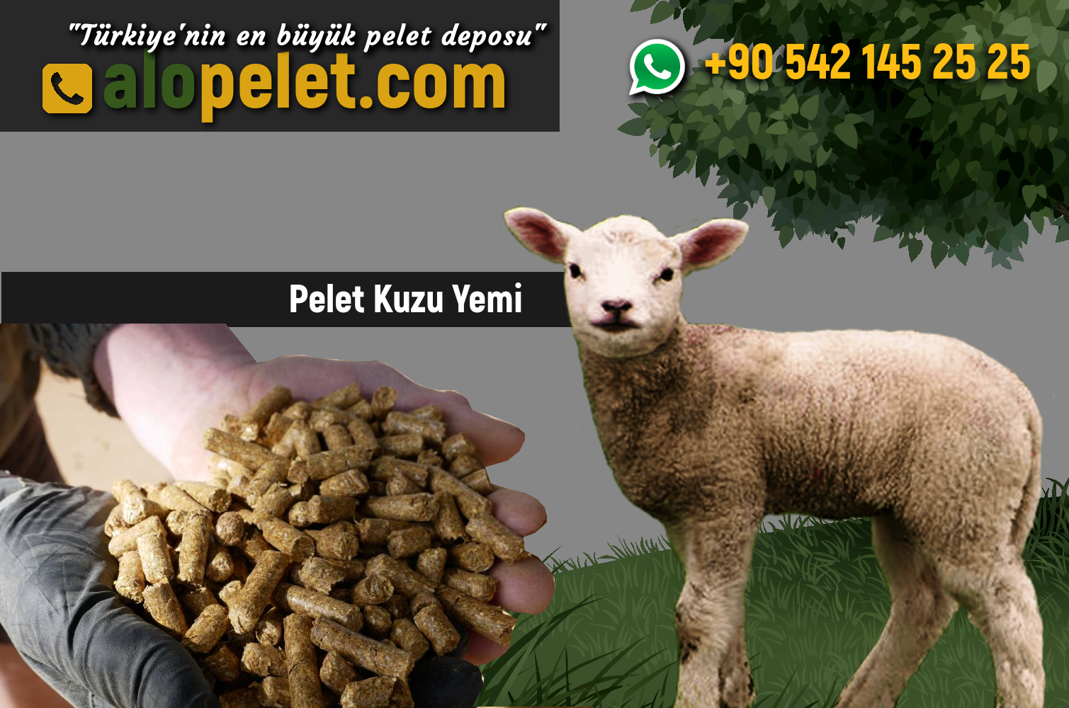 Pelet Kuzu Yemi