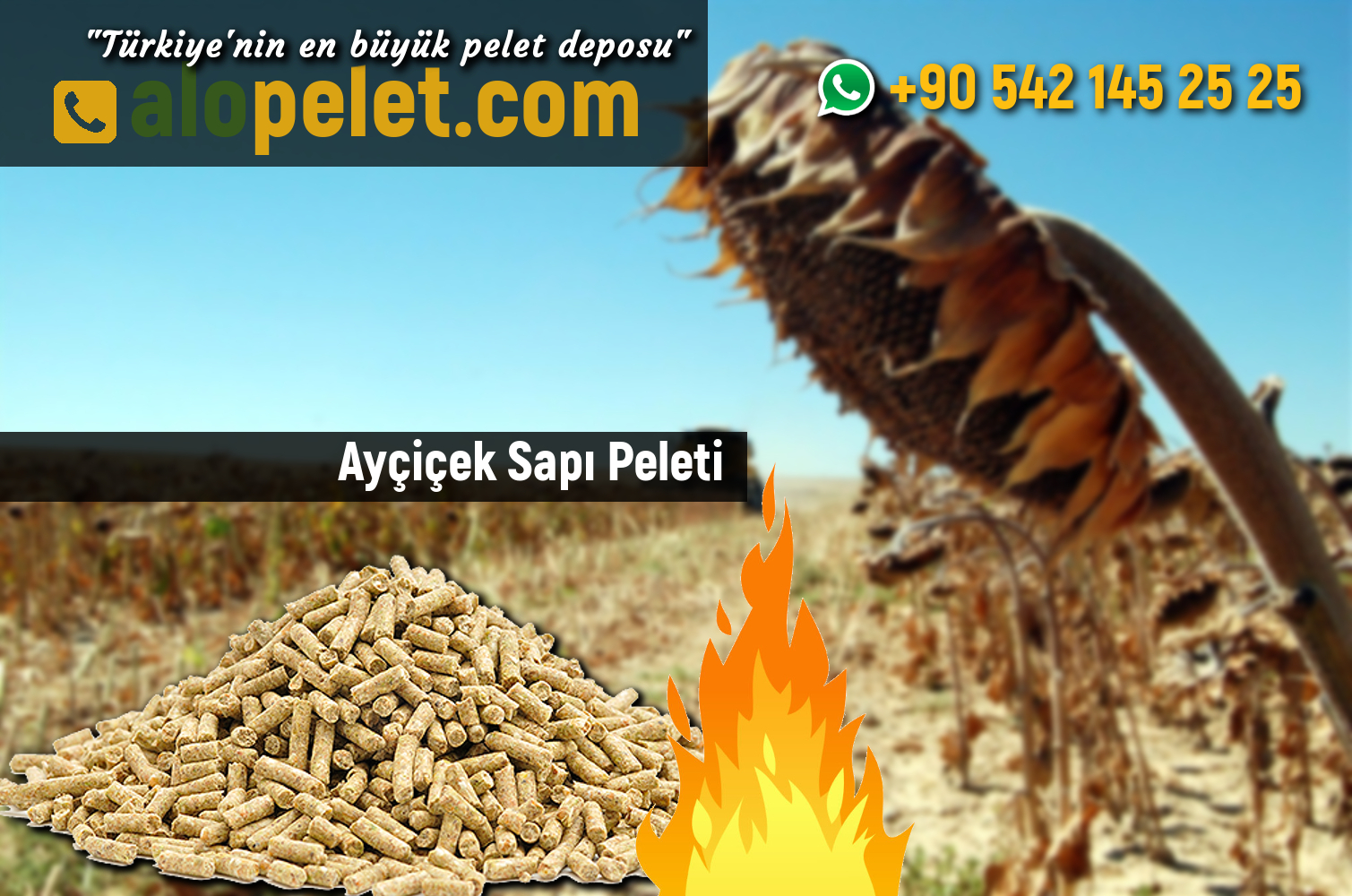 Ayçiçek Sapı Peleti