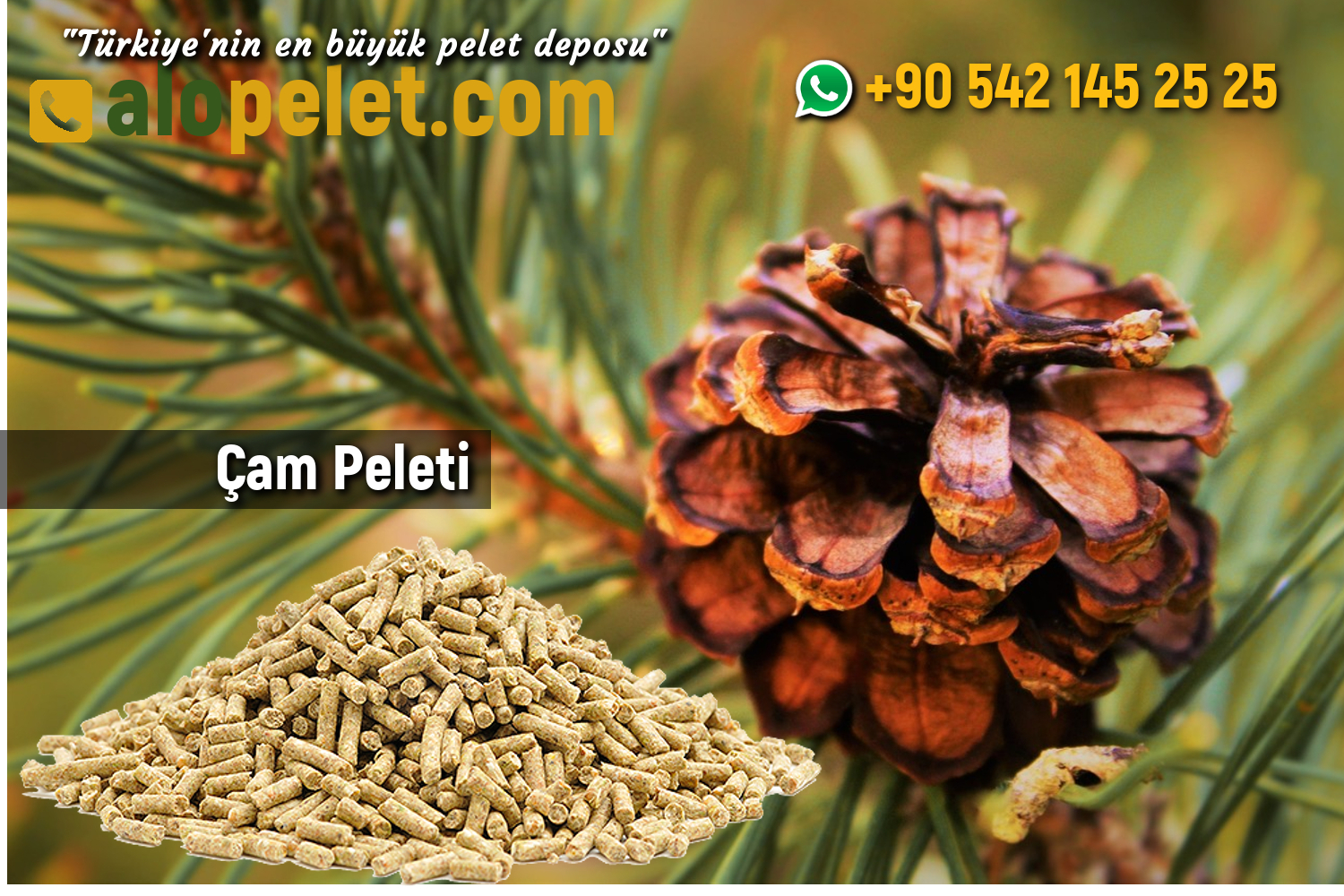 Çam peleti