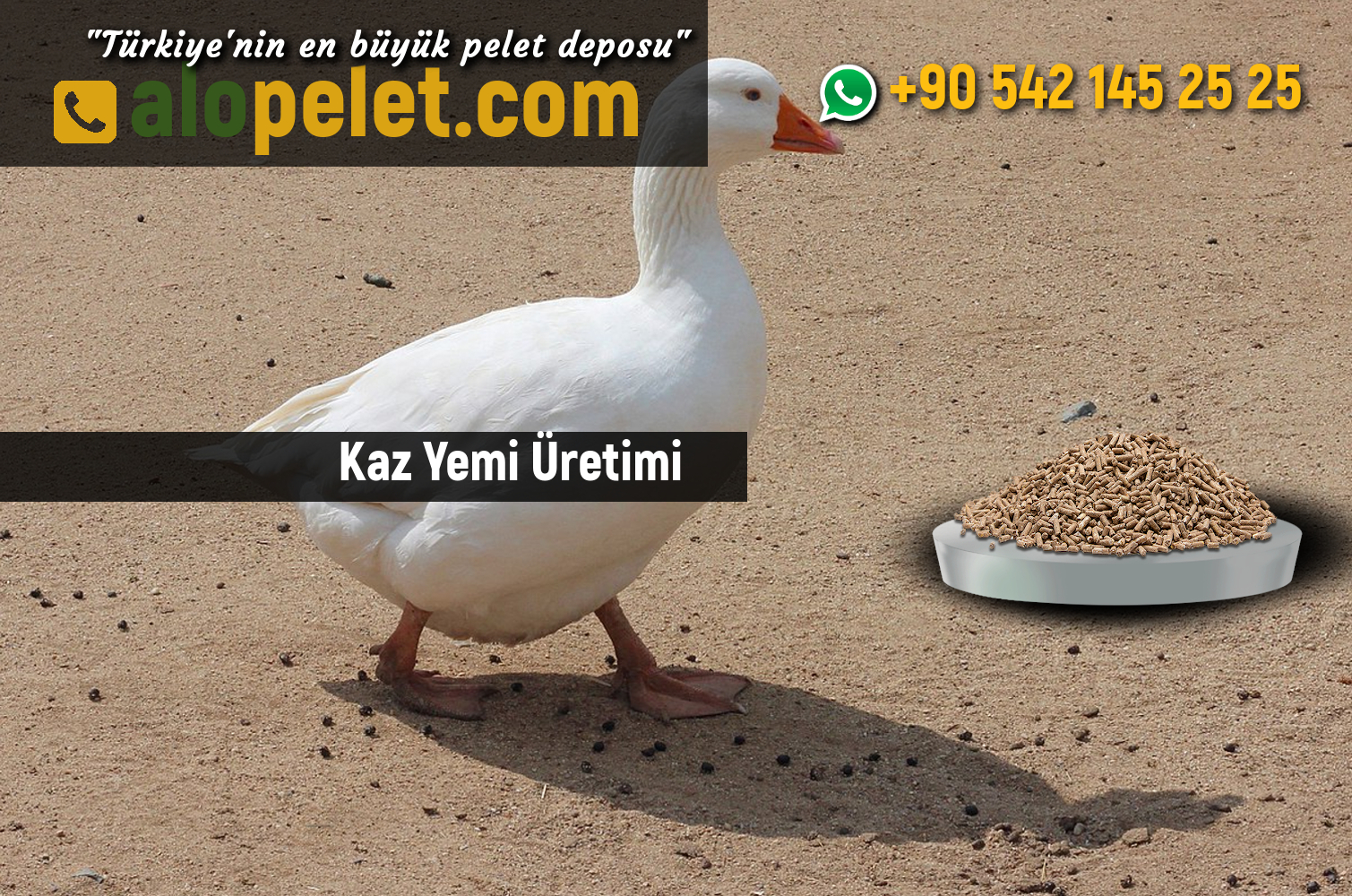 Kaz Yemi Üretimi