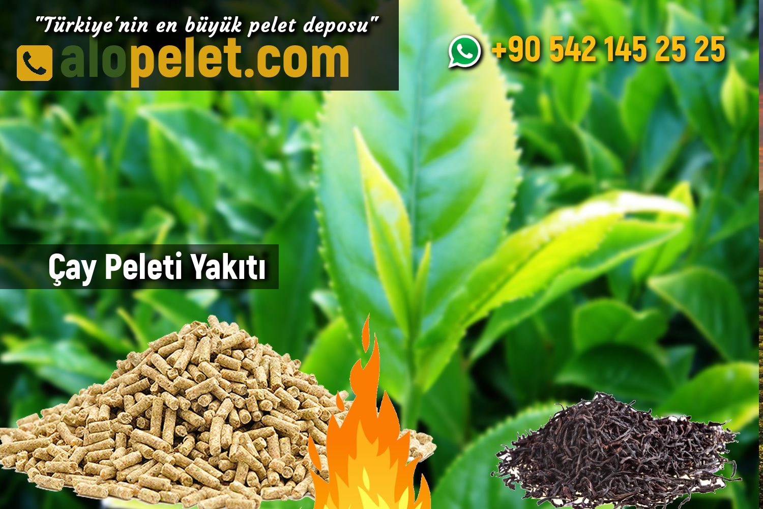 Çay Peleti Yakıtı