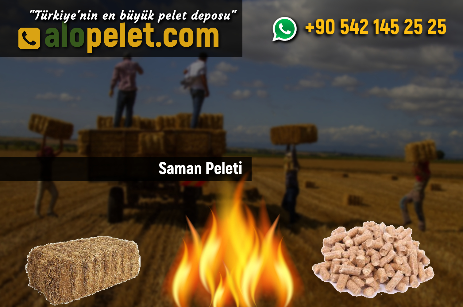 Saman Peleti