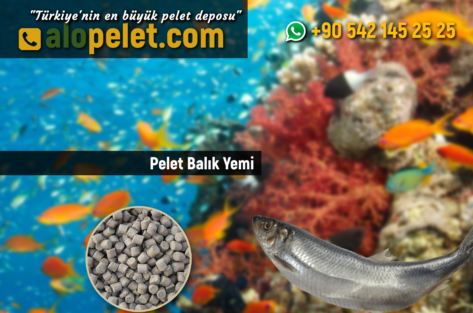 Pelet Balık Yemi